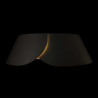 Потолочный светильник Loft IT Lane 10370 Black