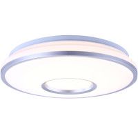 Потолочный светодиодный светильник Globo Turdus 41635