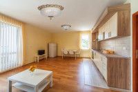 Накладная люстра Arti Lampadari Venezia E 1.13.46 G