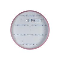 Потолочный светильник Loft IT AXEL 10003/24 Pink