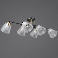 Потолочная люстра Illumico IL0845-6CSQ-25BKAB ELITE