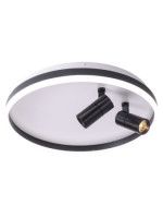 Потолочный светильник Zortes Raizy ZRS.1888.01