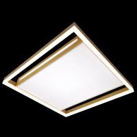 Потолочная люстра Natali Kovaltseva LED LAMPS 81307