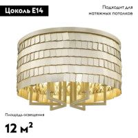 Потолочная люстра Simple Story 1093-6CL