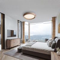 Потолочный светильник ImperiumLoft Runis 219475-26