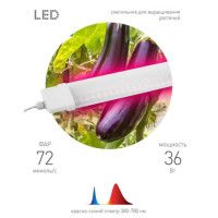 Светильник для растений ЭРА FITO-36W-RB-N Б0045697