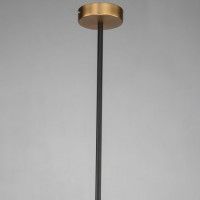 Подвесной светильник Favourite 2624-1P