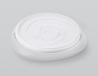 Потолочный светильник Ambrella Light Orbital Air FZ1601