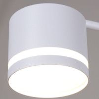 Потолочная люстра Reluce 79730-0.3-08 GX53 WT