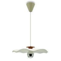 Подвесной светильник Lightera Colorado LE101L-40R