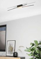 Потолочный светильник Eglo Panagria 900488