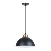 Подвесной светильник Arte Lamp Recinto A7053SP-1BK