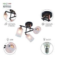 Потолочная люстра Rivoli Fiona 3163-303 Б0059259
