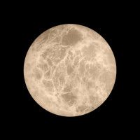 Настенный светильник Loft IT Emi 10414W/S