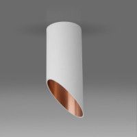 Точечный светильник Elektrostandard DLN114 GU10 белый/золото a050119