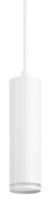 Подвесной светильник Эра PL19 WH Б0058491