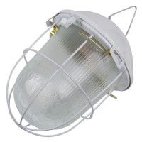 Подвесной светильник General НСП 02-100-002.01 437822