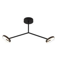 Потолочный светильник Favourite Paritet 4401-2C