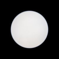 Потолочный светильник Loft IT AXEL 10002/48 Black