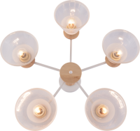 Люстра на штанге Rivoli Theothila 9177-305 Б0068467