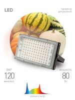 Фитопрожектор для растений Эра FITO-80W-Ra90-LED-Y Б0057284