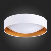 Потолочный светодиодный светильник Evoluce Orbio SLE201122-01