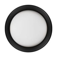 Потолочный светильник Loft IT Coin 10202 BB