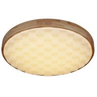 Потолочный светильник Reluce 60530-0.2-60W