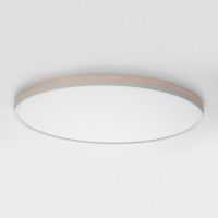 Потолочный светильник Citilux Norma CL749500