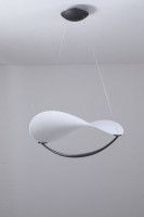 Подвесной светильник Zortes Quincy ZRS.1585.13