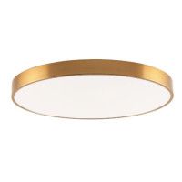 Потолочный светильник Zortes Tortty ZRS.02566.96