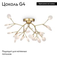 Потолочная люстра Freya Florencia FR5049CL-27G