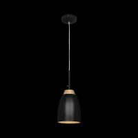 Подвесной светильник LOFT IT Watchman Loft4402A-Bl