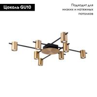 Потолочная люстра Aployt Elwisia APL.633.07.08