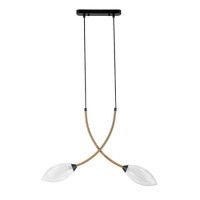 Подвесной светильник Indigo Fiore 13001/2P Black V000140