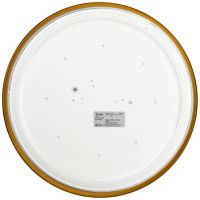 Потолочный светильник Эра Relict 38 SPB-6-40 4К MG Б0059506