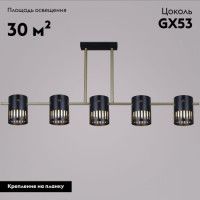 Потолочная люстра Reluce 06675-0.3-05 GD+BK GX53