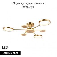 Потолочная светодиодная люстра Aployt Didian APL.015.07.33