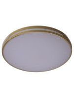 Потолочный светильник Zortes Gabby ZRS.90610.50