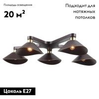 Потолочная люстра Lussole Loft LSP-9535