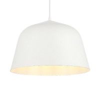 Подвесной светильник Evoluce Blank SLE1805-503-01