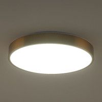 Потолочный светильник Zortes Tortty ZRS.02566.72