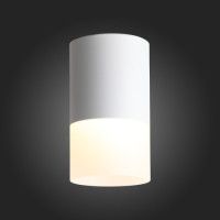 Накладной светильник ST Luce ST100.502.10