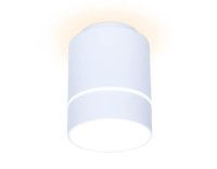 Потолочный светодиодный светильник Ambrella Light Techno Spot TN255