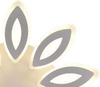 Потолочная люстра Natali Kovaltseva HIGH-TECH LED LAMPS 82043