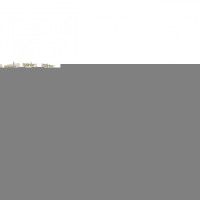 Потолочный светильник Arte Milano Venezia 316223/D400 GD