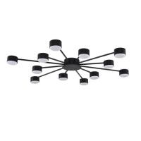 Потолочная люстра Lumion Comfi Torina 8344/12C