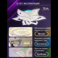 Потолочная люстра Natali Kovaltseva Olimp LED LAMPS 81435