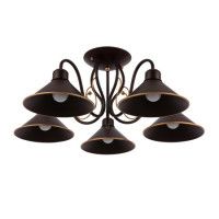 Потолочный светильник EVOLUCE CIOLLA SLE120402-05