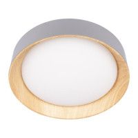 Потолочный светильник Loft IT Coin 10202 Grey